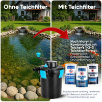 Komplettset (Filter/Pumpe/Schlauch) / 4.000 l/h