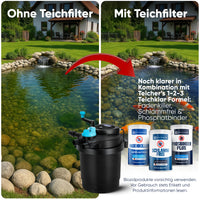 Komplettset (Filter/Pumpe/Schlauch) / 6.000 l/h