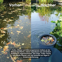 Teichskimmer SK40 – für saubere Teichoberflächen