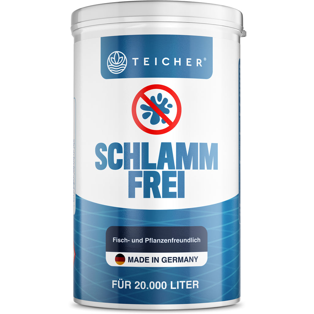1 Kg