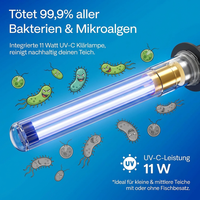 2500 l/h mit 11W UVC